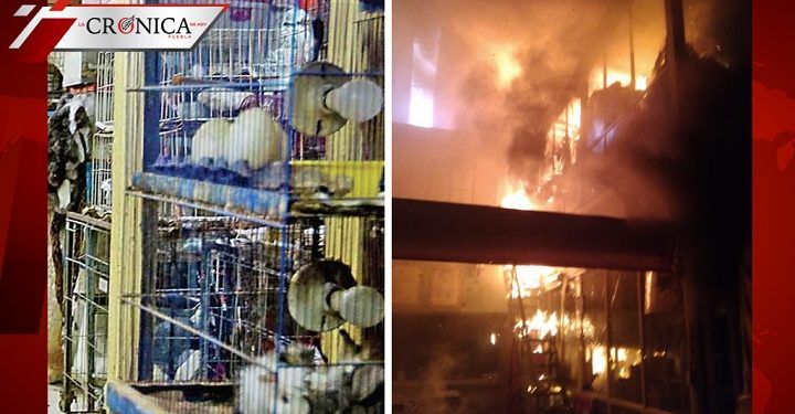 Bomberos rescatan a animales tras incendio en Mercado de Sonora