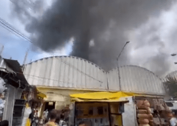 Se registra incendio en el Mercado de Sonora de la CDMX