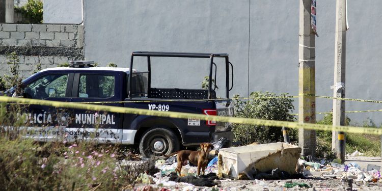 Hallan cadáver embolsado en la colonia Santa Lucía