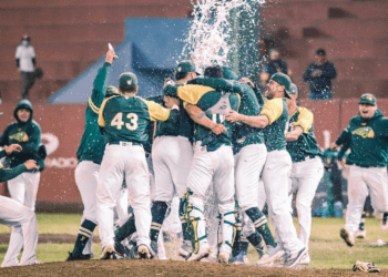 Pericos, campeón de la Zona Sur