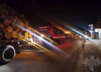 Capturan a 13 presuntos talamontes en Xochiapulco