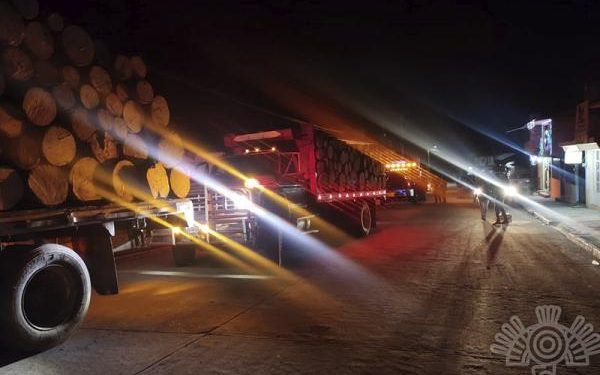 Capturan a 13 presuntos talamontes en Xochiapulco
