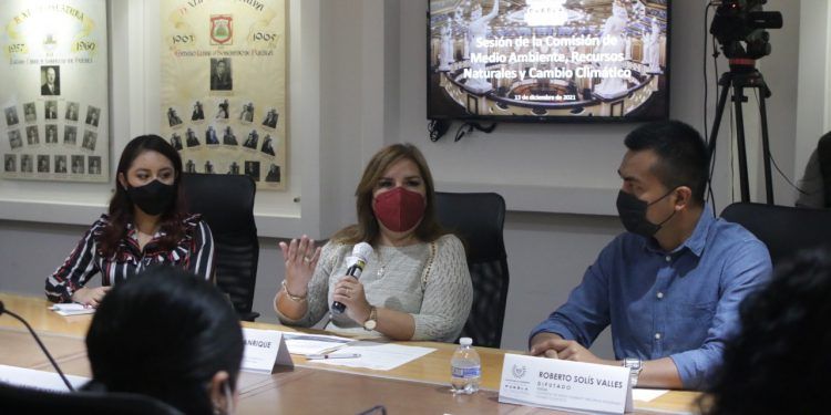 Congreso del Estado reconoce el trabajo de Beatriz Manrique, titular de la Medio Ambiente