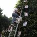 Familiares de desaparecidos en Puebla colocan «Árbol de la Esperanza» en el zócalo