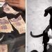 Perros causan revuelo después de comerse los ahorros de su dueña (VIDEO)