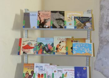 Entrega SEP a Puebla más de 19 mil libros para bibliotecas públicas