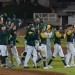 Pericos, subcampeón de la Liga Invernal