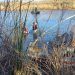 Recuperan cuerpo de una menor migrante en el cauce del río Bravo en México