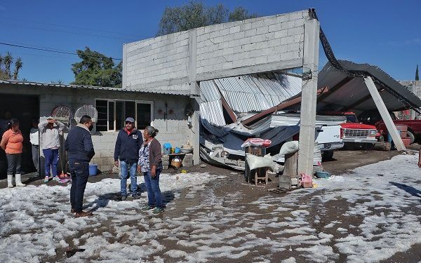 Sepulta granizo cosecha de nopal