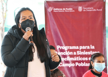 Dan indemnización por cosecha perdida