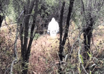 Hallan nueve cadáveres en narcofosa utilizada por el Cártel de Sinaloa en Nuevo León