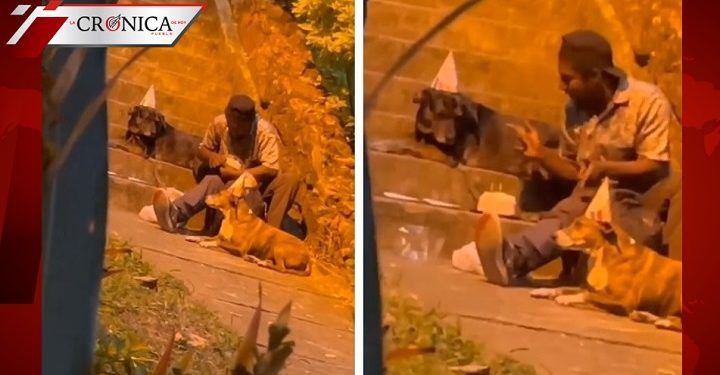 Hombre en situación de calle se hace viral por celebrar cumpleaños de sus perritos