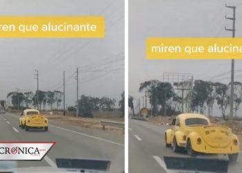 Veterinario queda sorprendido al toparse con vocho tuneado en la carretera (VIDEO)