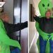Yuri usa botarga de extraterrestre para invitar a fans a cuidarse de la COVID-19
