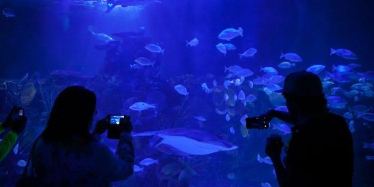 Fiscalía de CDMX investiga la muerte de bióloga en Acuario Inburs