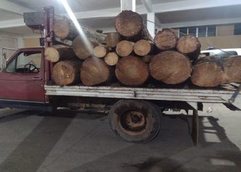 Taladores de árboles con capturados en Ahuazotepec