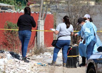 Hallan restos humanos que eran devorados por perros en la colonia Jorge Murad