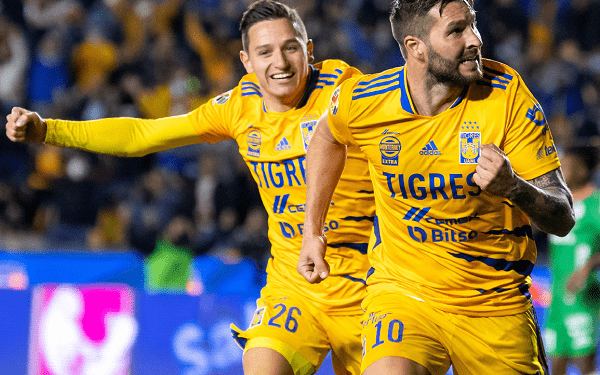 Por poco cazan a Tigres