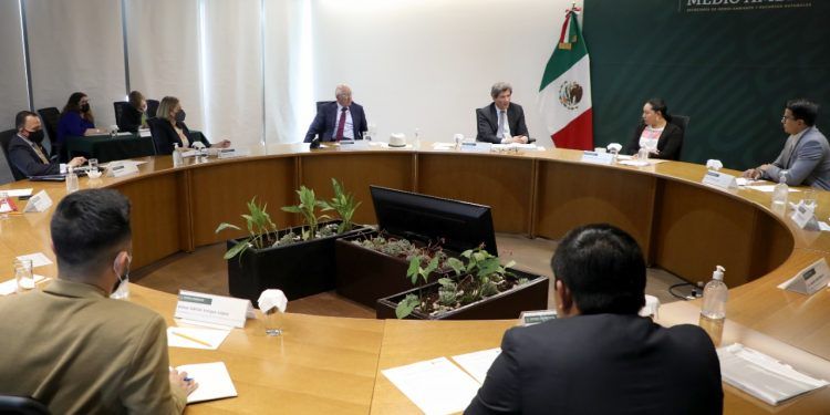 México y EE.UU. dialogan sobre protección de la vaquita marina y tala ilegal