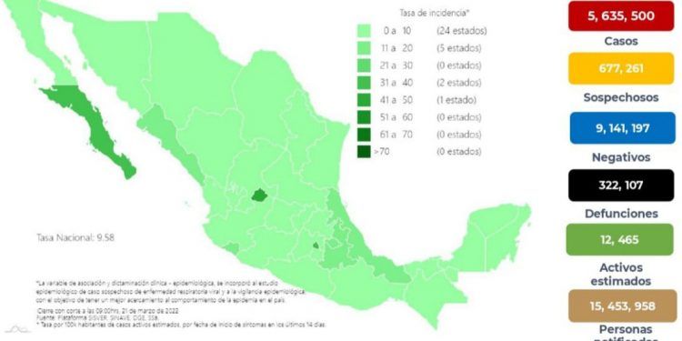 México registra 671 nuevos casos positivos de COVID-19    