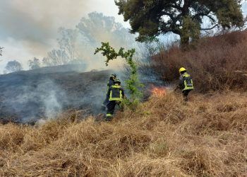 Sofocan Bomberos incendio en el cerro de Amalucan