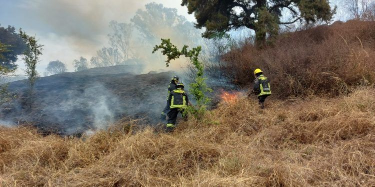 Sofocan Bomberos incendio en el cerro de Amalucan