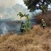 Sofocan Bomberos incendio en el cerro de Amalucan
