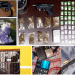 En siete cateos halla la FGE restos de drogas y armas