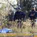 En febrero, suben homicidios y violaciones en el estado