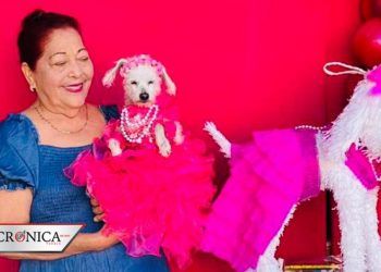 Familia celebra XV años de perrita en Los Mochis, Sinaloa (FOTOS)