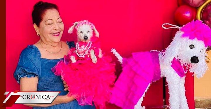 Familia celebra XV años de perrita en Los Mochis, Sinaloa (FOTOS)