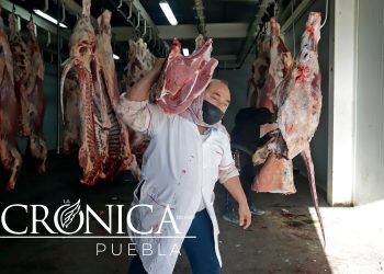 Producción de carne de cerdo en México aumenta en 2022