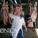 Producción de carne de cerdo en México aumenta en 2022