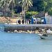 Balacera en playa de Acapulco deja cuatro muertos