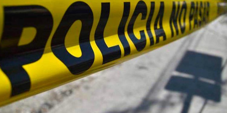 Abandonan 7 cuerpos en carretera de Zacatecas