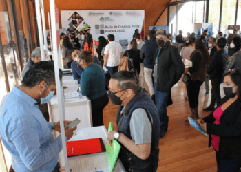 Gestionarán programas de apoyo financiero
