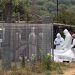 Hallan once cuerpos en fosa clandestina ubicada en Las Letras, Michoacán