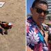 ‘Le dije que le iba a dar esta vida’: hombre lleva a su gallo de vacaciones (VIDEO)