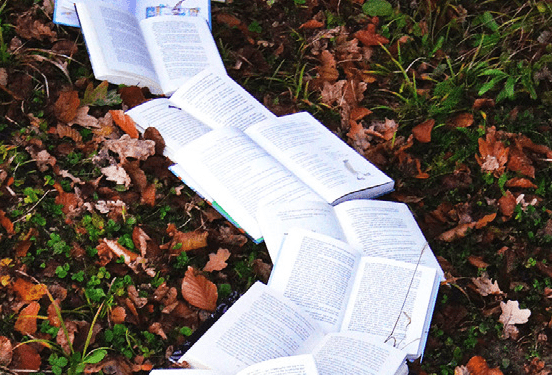 Maternar y lidiar con exclusión, retos de escritoras
