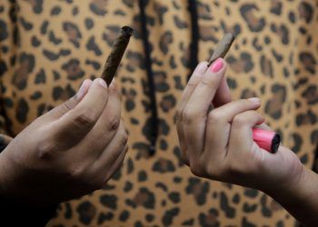 Hoy celebran Día Mundial de la Marihuana