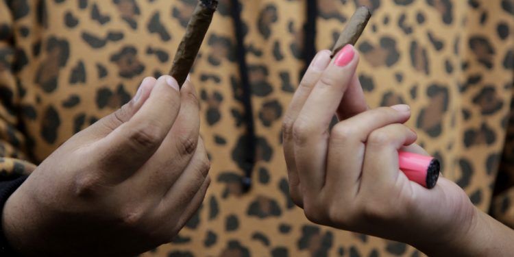 Hoy celebran Día Mundial de la Marihuana