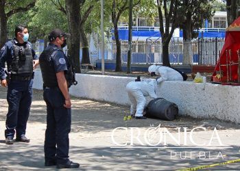 Hallan restos humanos embolsados en el Parque de las Ninfas    