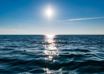 Si no se frena el cambio climático, los océanos sufrirán una extinción masiva