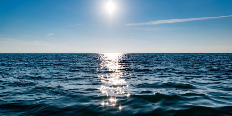 Si no se frena el cambio climático, los océanos sufrirán una extinción masiva