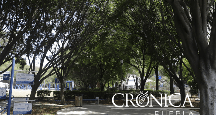 Mantenimiento en parques, constante queja ciudadana