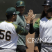 Listos Pericos para el play ball