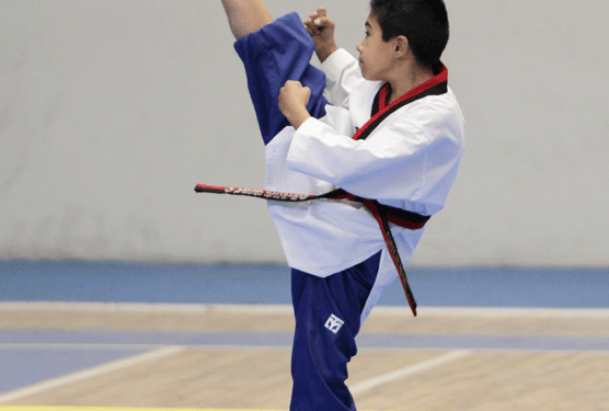 El mejor taekwondo, en el Hidalgo