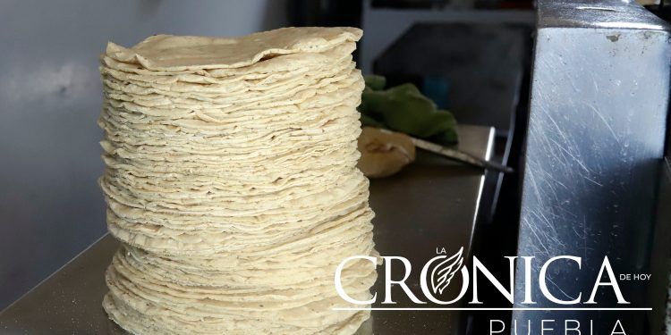 Alza en maíz llevó a máximos históricos precio de tortilla