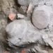 Descubren objetos de 3,500 años