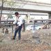 Inicia Ayuntamiento de Puebla rehabilitación de la Avenida 24 Sur